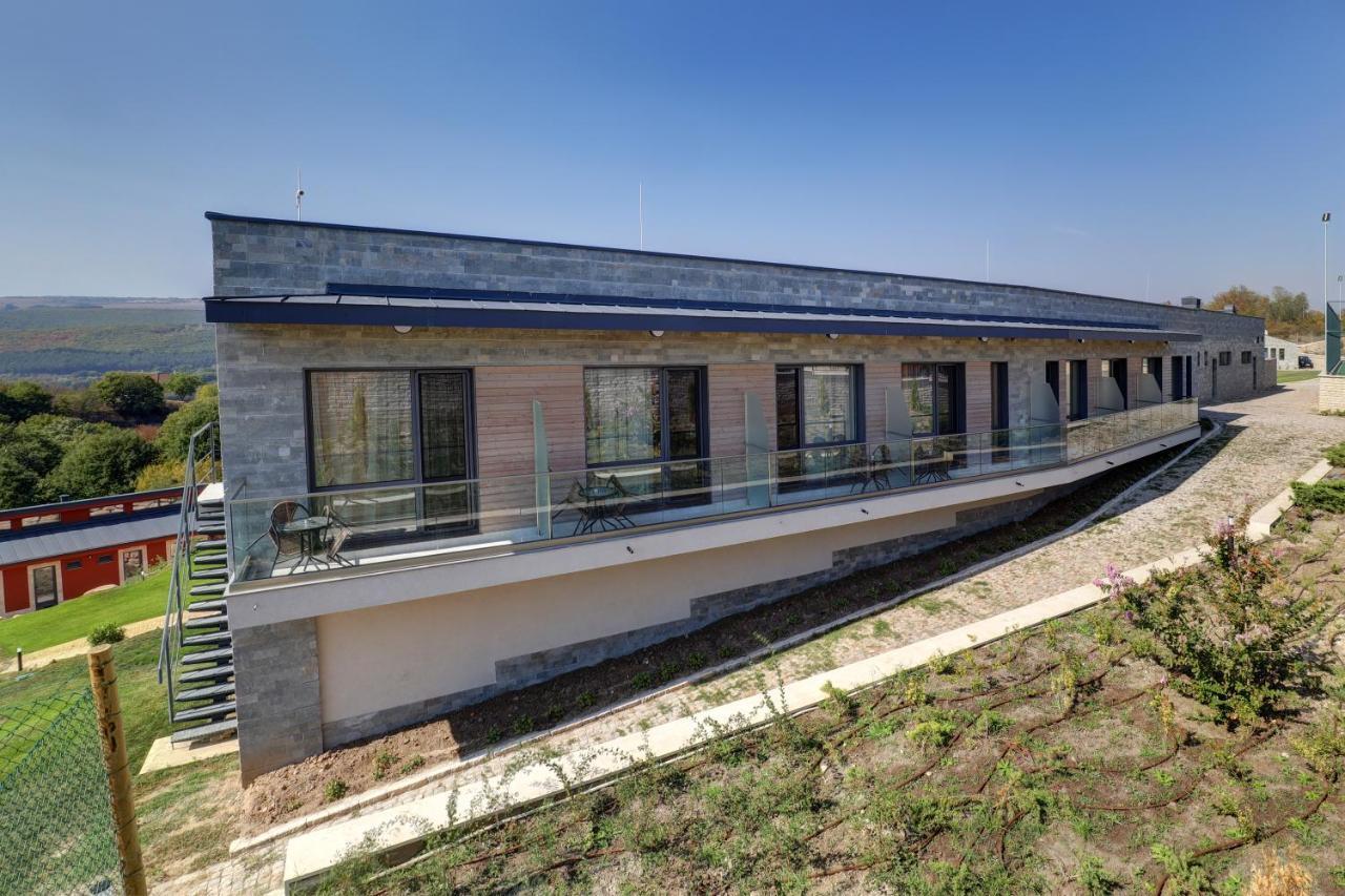 Hotel Eco complex Zdravets Zdravets  Esterno foto